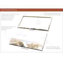 Produktbeschreibung Giclée Leinwandbild: Rückseite mit Spannrahmen aus Kiefernholz und Aufhängevorrichtung, Vorderseite mit Digitaldruck
