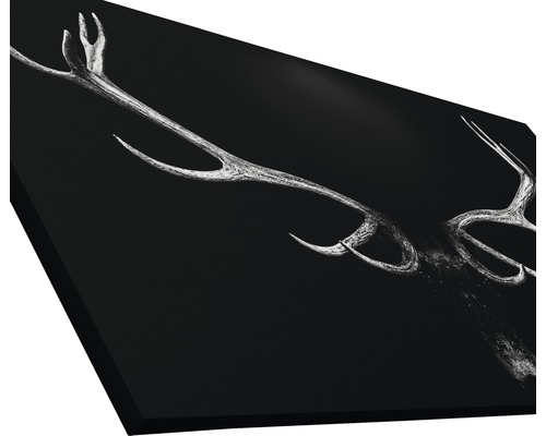 Image murale décorative avec motif de bois de cerf