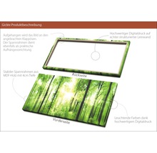 Giclée Leinwandbild Forrest Feeling 50x100 cm