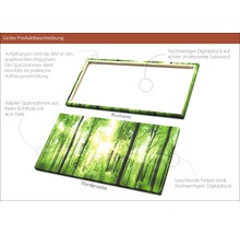 Giclée Leinwandbild Forrest Feeling 100x200 cm