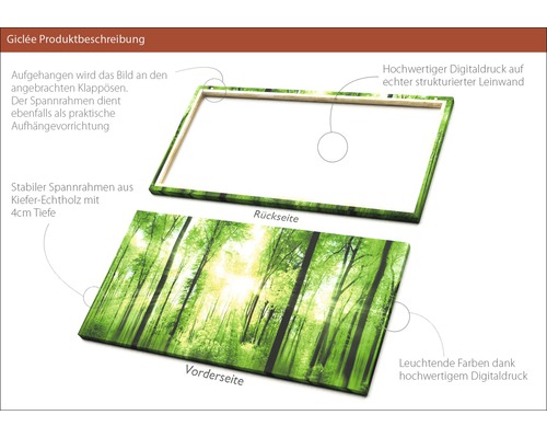 Leinwandbild mit Waldmotiv, Vorder- und Rückseite