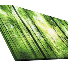 Tableau sur toile giclée Forrest Feeling 80x160 cm