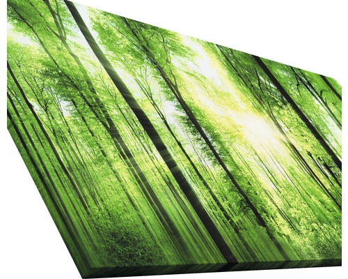 Scène de forêt décorative avec des arbres et la lumière du soleil