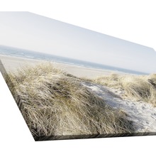 Leinwanddruck mit Strandhafer am Strand