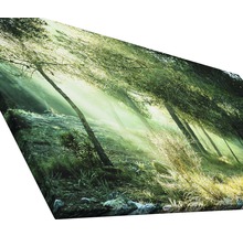 Tableau sur toile giclée Forest Harmony Vl 50x100 cm