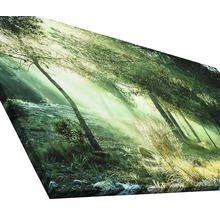 Tableau sur toile giclée Forest Harmony Vl 100x200 cm