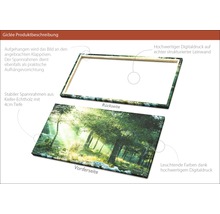 Giclée Leinwandbild Forest Harmony Vl 100x200 cm