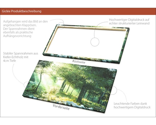 Leinwandbild mit Waldmotiv, Rückseite mit Holzrahmen