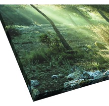 Tableau sur toile giclée Forest Harmony Vl 100x100 cm