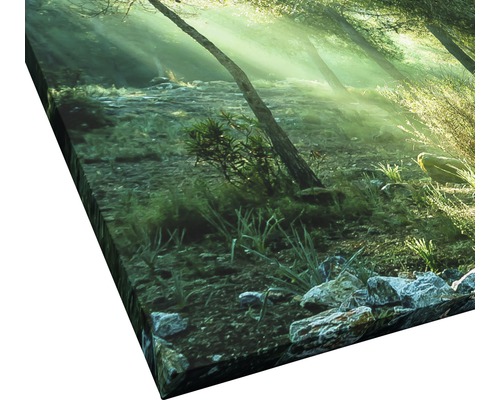 Impression sur toile avec motif de forêt et rayons de soleil