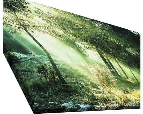 Paysage forestier sur toile
