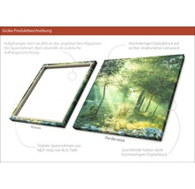 Giclée Leinwandbild Forest Harmony Vl 80x80 cm