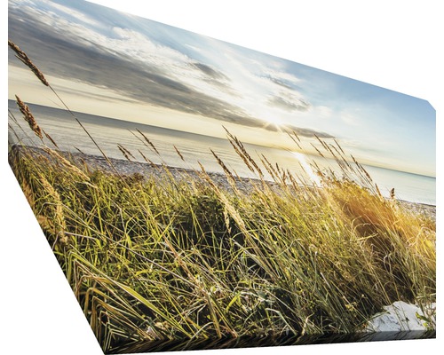 Impression sur toile avec paysage de plage et herbe au premier plan