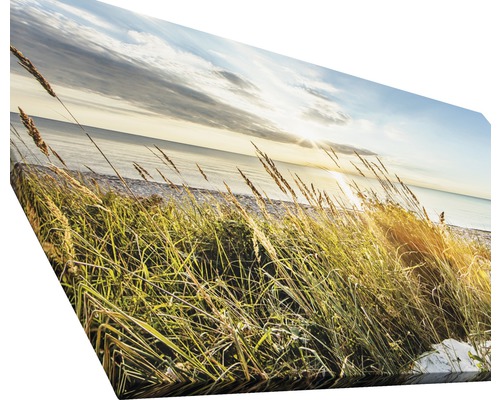 Tableau sur toile avec paysage de plage et herbes au premier plan