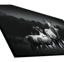 Giclée Leinwandbild Herd Of Deer 50x100 cm