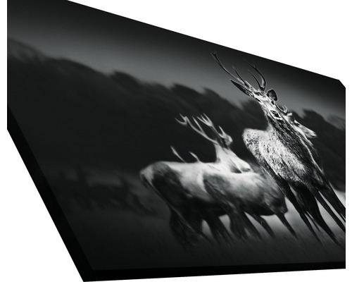 Impression sur toile avec un motif noir et blanc d''un groupe de cerfs