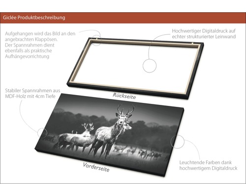 Leinwandbild mit Hirschmotiv, Digitaldruck auf Leinwand, MDF Rahmen