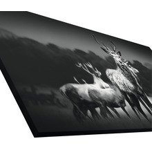 Giclée Leinwandbild Herd Of Deer 100x200 cm