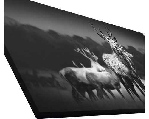 Schwarzweiß-Leinwanddruck mit Hirschen