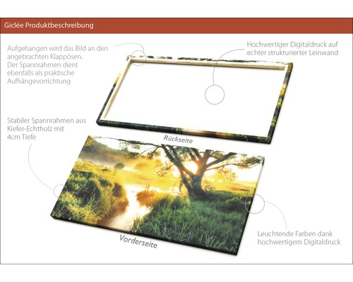 Leinwandbild mit Waldmotiv, Vorder- und Rückseite sichtbar
