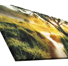 Leinwanddruck mit Gras und Bäumen im Morgenlicht
