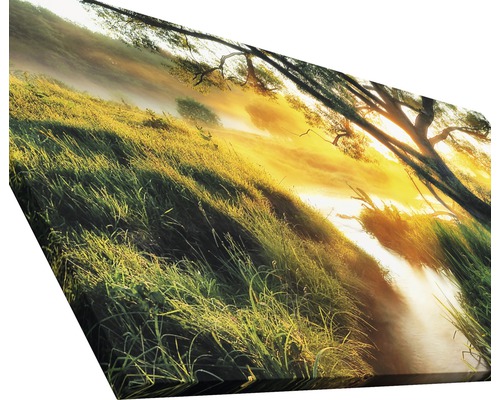 Impression sur toile avec de l''herbe et des arbres au matin
