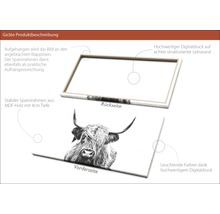Giclée Leinwandbild Scott Highland Cattle II 50x100
