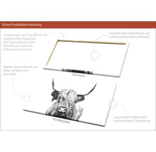 Giclée Leinwandbild Scott Highland Cattle II 100x200