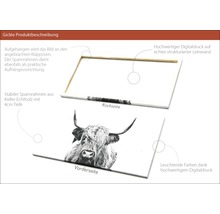 Giclée Leinwandbild Scott Highland Cattle II 80x160