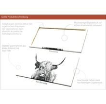 Giclée Leinwandbild Scott Highland Cattle II 90x180