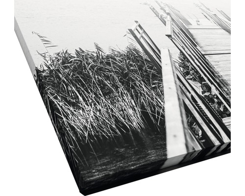 Impression sur toile avec ponton au bord du lac et roseaux