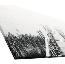 Leinwanddruck mit einer Schwarzweißfotografie von Schilf und einem Holzsteg am See