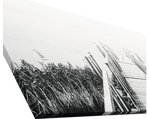 Leinwanddruck mit einer Schwarzweißfotografie von Schilf und einem Holzsteg am See