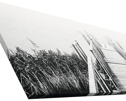 Leinwandbild mit einer Schwarz-Weiß-Darstellung eines Stegs und Schilfs