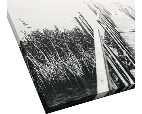 Tableau sur toile avec passerelle et roseaux