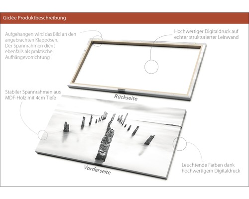 Produktbeschreibung Giclée: Rück- und Vorderseite des Bildes mit MDF-Holzrahmen und Aufhängevorrichtung