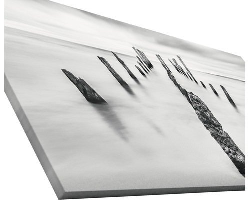 Schwarzweiß-Leinwanddruck mit Küstenlandschaft und alten Holzpfählen im Wasser.