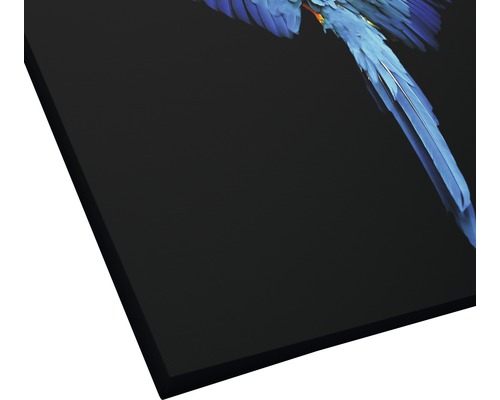 Leinwandbild mit blauem Papagei