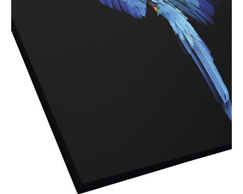 Detailansicht eines Leinwandbildes mit einem blauen Papagei auf schwarzem Hintergrund