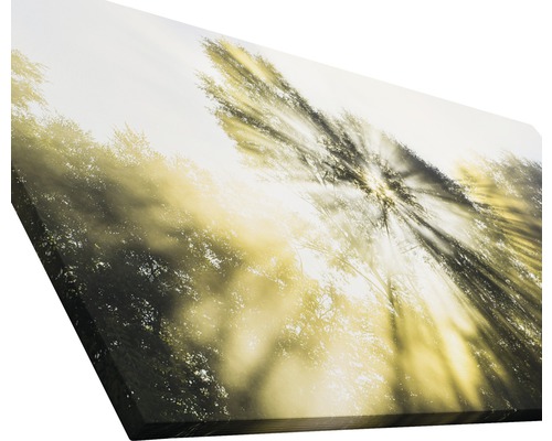 Tableau sur toile avec motif de forêt et rayons de soleil