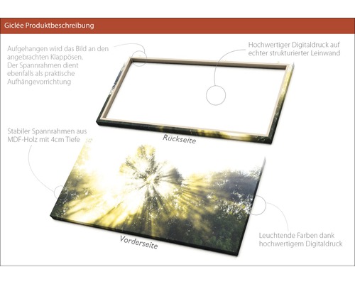 Detailansicht eines Giclée-Drucks auf Leinwand mit MDF-Holzrahmen