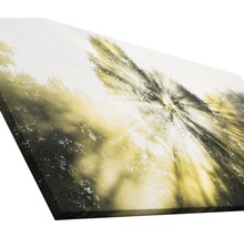 Tableau sur toile avec motif de forêt et rayons de soleil