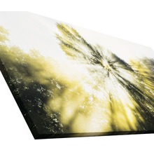 Leinwanddruck mit Waldmotiv und Sonnenlicht