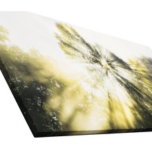 Impression sur toile avec motif de forêt et effets de lumière