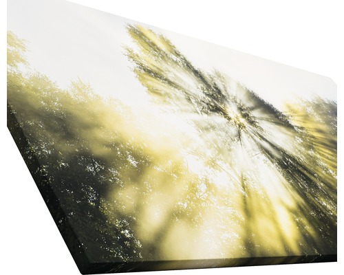 Leinwanddruck mit Waldmotiv und Lichteffekten