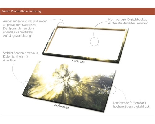 Produktbeschreibung Giclée: Rückseite und Vorderseite eines Keilrahmens aus Kiefernholz mit Digitaldruck auf Leinwand.