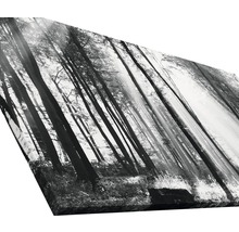 Tableau sur toile giclée Sun drenched forest I 50x100 cm