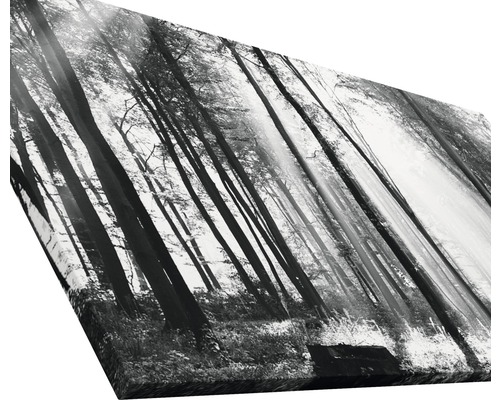 Impression sur toile avec motif de forêt en noir et blanc