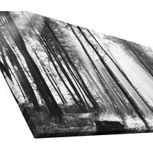 Tableau sur toile giclée Sun drenched forest I 60x120 cm