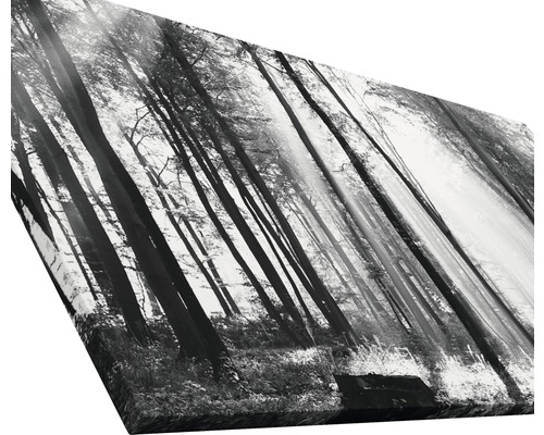 Impression sur toile en noir et blanc d''une forêt